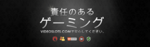 ビデオスロッツ　安全性