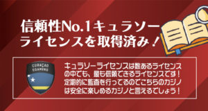 ハチスロ　ライセンス