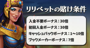 リリベットカジノ　賭け条件