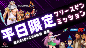 エースカジノの