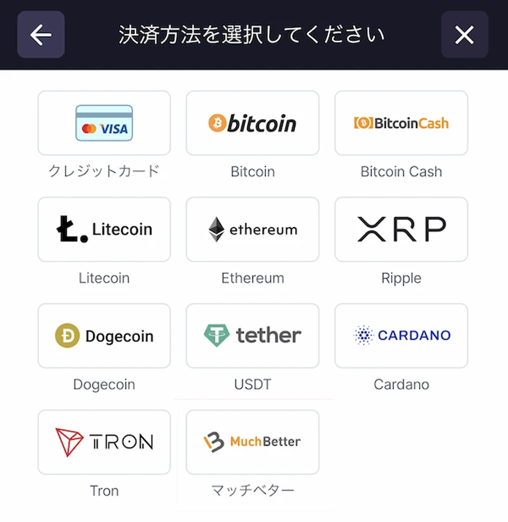 ビットスターズの入金方法