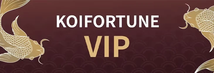 コイフォーチュンカジノのVIPプログラム