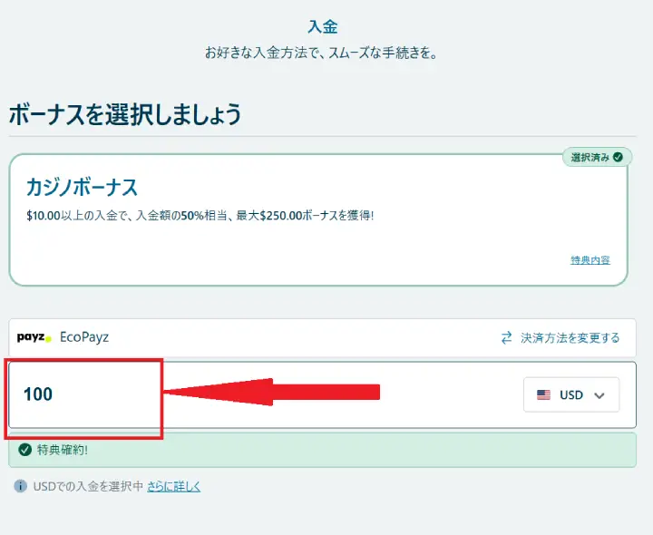 ペイズの入金方法3